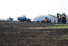 Пензенские аграрии сделали ставку на бобы Пензенские аграрии сделали ставку на бобы
