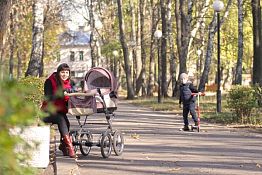 В Пензе появится пять новых лесопарковых зон В Пензе появится пять новых лесопарковых зон