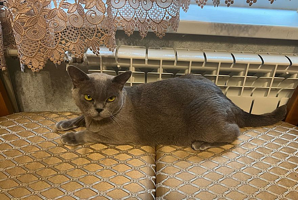 Отопительный сезон в Пензе 2025-2026: когда начнется