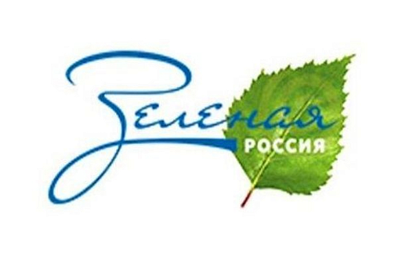 Пензенцев призывают присоединиться к всероссийскому экологическому субботнику