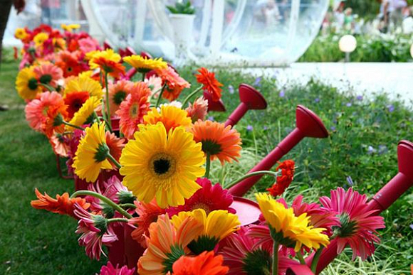 В Москве в рамках фестиваля садов и цветов пройдет День Заречного