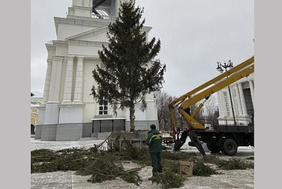 Пензенцы остались недовольны обрезкой веток ели на Соборной площади