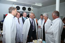 Плотность с/х-бизнеса в области пока недостаточна — губернатор Плотность с/х-бизнеса в области пока недостаточна — губернатор