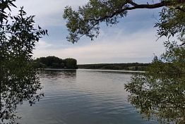 Мельниченко распорядился активизировать рейды на водоемах Пензенской области Мельниченко распорядился активизировать рейды на водоемах Пензенской области
