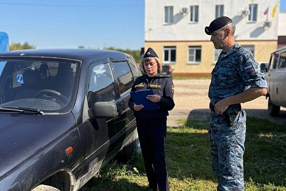 Предприниматель из Бессоновки погасила долг в два миллиона из-за номеров авто
