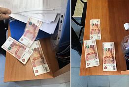 В Пензе директор фирмы рискнул карьерой за 15 тысяч