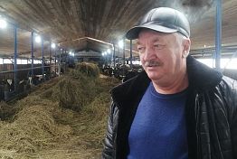 Земля, труд, трактор в подарок: путь фермера Мулекова из Лопатинского района