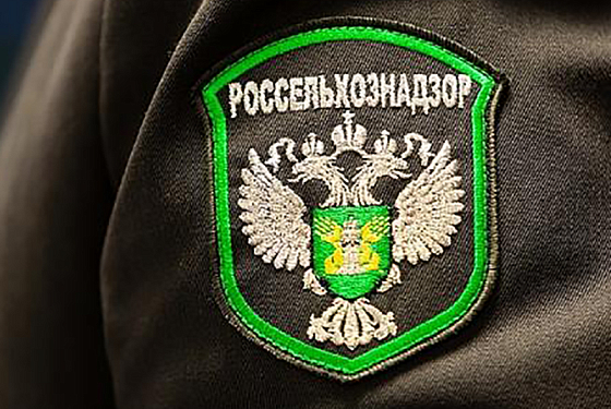 В Кузнецком районе в детский лагерь закупили говядину неизвестного происхождения