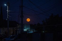 Пензенцы увидят полное лунное затмение 7 сентября 2025 Пензенцы увидят полное лунное затмение 7 сентября 2025