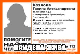 В Лунинском районе нашли пропавшую бабушку