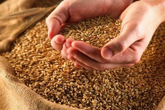 Житель Пензенской области через щель в стене склада украл 400 кг пшеницы