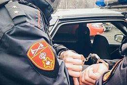 В Пензе росгвардейцы задержали пьяного угонщика