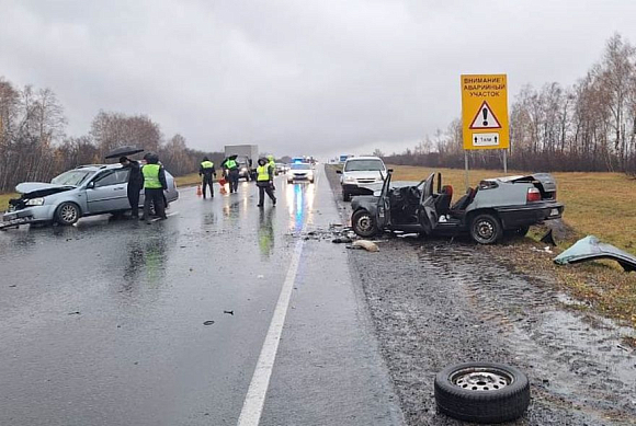 В ДТП на трассе Тамбов-Пенза погиб пассажир иномарки