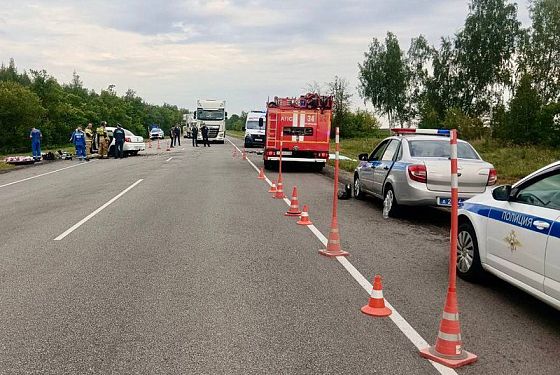 Появилось видео и новые фото с места автокатастрофы в Мокшанском районе