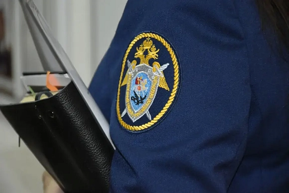 В Пензе после падения ледяной глыбы на подростка задержан директор УК