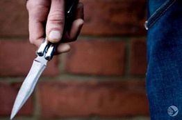 14-летний зареченец пытался защитить 19-летнюю сестру от дяди-убийцы 14-летний зареченец пытался защитить 19-летнюю сестру от дяди-убийцы