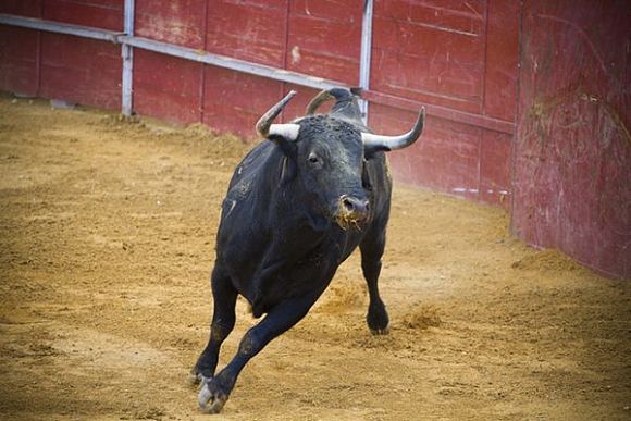 В Наровчатском районе бык насмерть забодал работника фермы