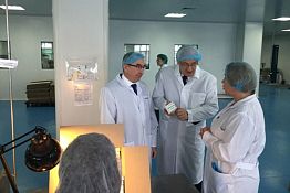 В Пензе реализован крупномасштабный лекарственный инвестпроект В Пензе реализован крупномасштабный лекарственный инвестпроект