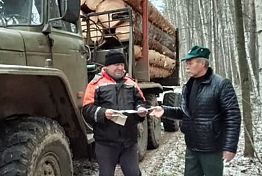 В Пензенской области стартовала операция «Лесовоз»