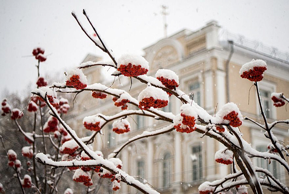 В Пензенской области 16 декабря пройдет снег