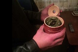 В Н. Ломове мужчина держал в бане двухметровый «веник» из конопли В Н. Ломове мужчина держал в бане двухметровый «веник» из конопли