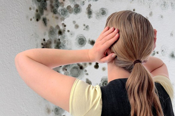 В Пензе судебные приставы приостановили работу детсада за грибок на стенах помещений