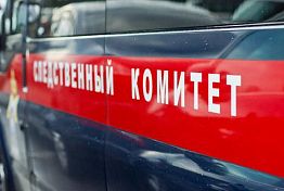 В Пензе СК установит причины побега школьницы из дома