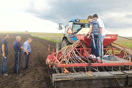 Голландцы начали выращивать лук в Пензенской области