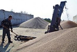 В Пензенской области намолотили «знаковые» 2,3 млн тонн зерна В Пензенской области намолотили «знаковые» 2,3 млн тонн зерна