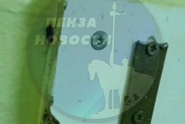 Соцсети: из пензенской школы не хотят «уходить» тараканы Соцсети: из пензенской школы не хотят «уходить» тараканы