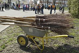 В Пензе возобновят «санитарные пятницы» В Пензе возобновят «санитарные пятницы»