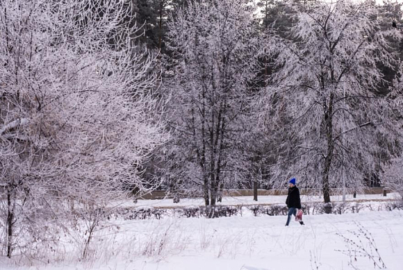 В Пензе 9 февраля пройдет мокрый снег 