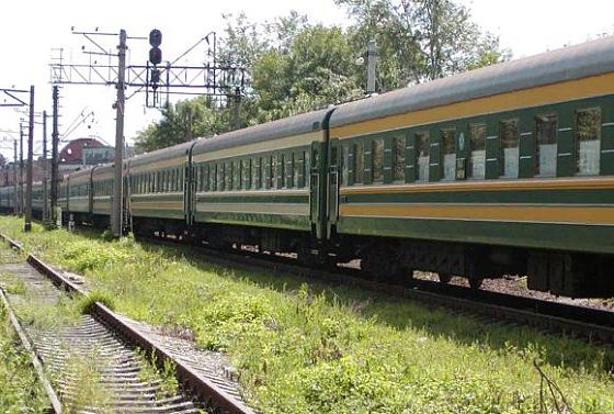 В Пензенской области под поездом погибла 10-летняя девочка