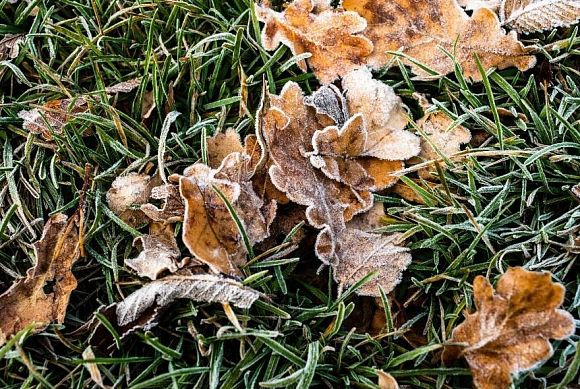 В Пензенской области 10 ноября похолодает до -8ºС