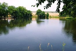 Специалисты рассказали о качестве воды в пензенских водоемах Специалисты рассказали о качестве воды в пензенских водоемах