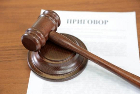 Жителю Никольского района вынесли приговор за ложный донос 