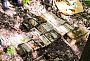 Ящики с патронами нашлись в лесу, Фото пресс-службы УМВД