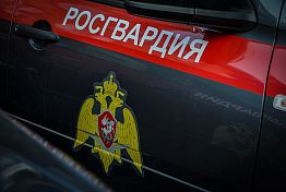 Пензенец ударил женщину по голове и разбил стеклянную дверь