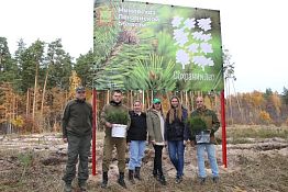 Более 5 тысяч молодых сосен высадили в Чаадаевском лесничестве Более 5 тысяч молодых сосен высадили в Чаадаевском лесничестве