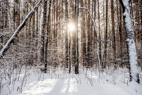 В Пензенской области изменили сроки весенней охоты