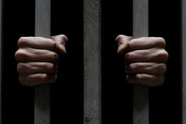 Под Наровчатом 23-летний парень вырастил у себя на участке 152 куста мака Под Наровчатом 23-летний парень вырастил у себя на участке 152 куста мака
