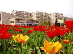 Заречный Пензенской области поборется за звание самого благоустроенного города в России