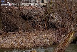 В водоохранной зоне ручья Безымянный в Пензе устроили свалку В водоохранной зоне ручья Безымянный в Пензе устроили свалку