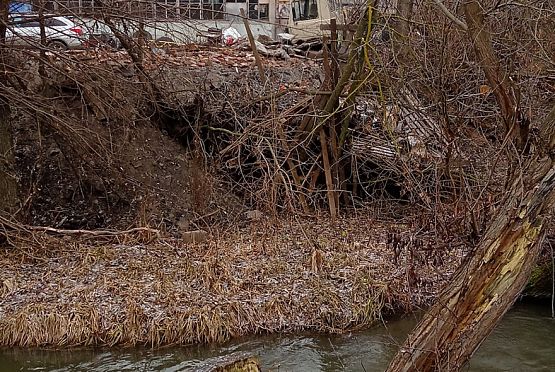В водоохранной зоне ручья Безымянный в Пензе устроили свалку