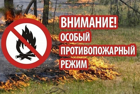 Пензенцам напомнили штрафы за разведение костров в лесу