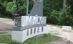 В Пензе за неделю клещи искусали более 100 человек