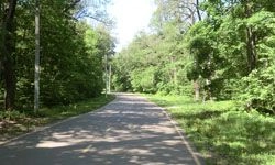 В Пензе закрыли Олимпийскую аллею