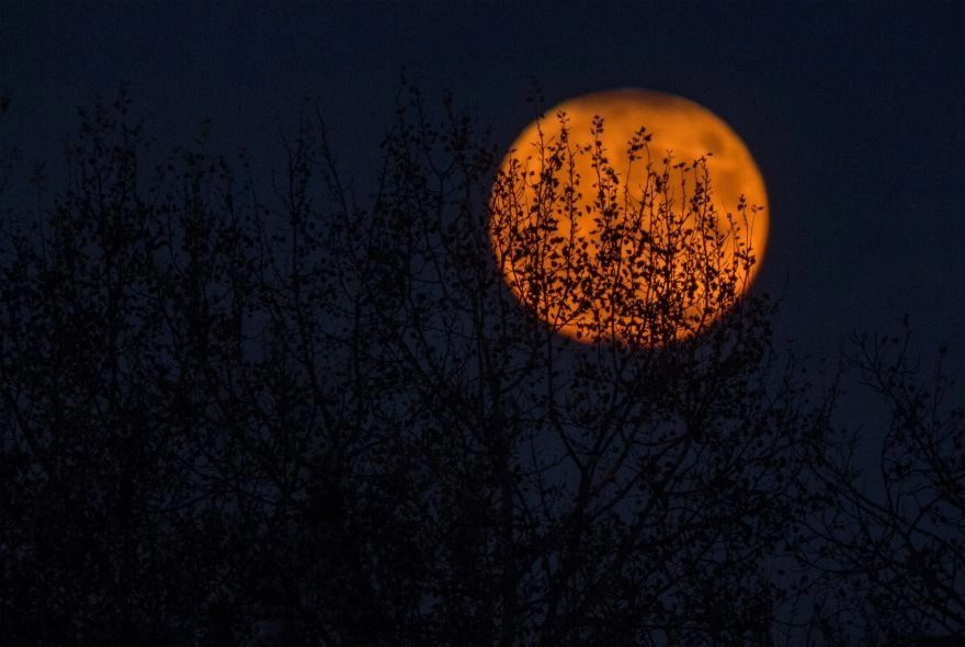 Пензенцы поделились фото Оленьей Луны