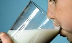 КФХ Спасского района произвели в этом году более 500 тонн молока