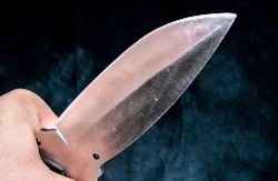 В Пензенской области наградили школьников, задержавших вооруженного преступника В Пензенской области наградили школьников, задержавших вооруженного преступника